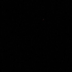 Meet your Posher, Doris